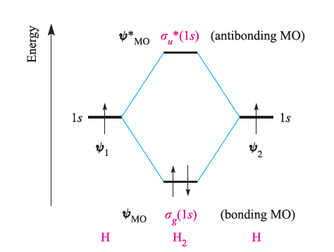 Descriptive text for SEO and accessibility